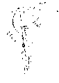 Vorschaubild der Version vom 16:33, 11. Aug. 2022