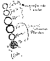 Vorschaubild der Version vom 13:34, 11. Aug. 2022