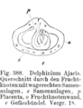 Vorschaubild der Version vom 17:49, 11. Aug. 2022