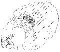 Vorschaubild der Version vom 14:55, 11. Aug. 2022