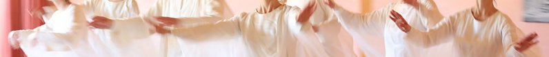 Datei:Eurythmeum-ch-headerbild.png