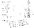 Vorschaubild der Version vom 12:53, 11. Aug. 2022