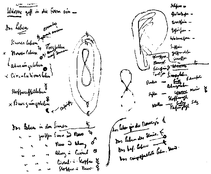 Datei:1452px-B58 59 030.gif