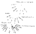 Vorschaubild der Version vom 12:19, 11. Aug. 2022