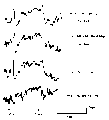 Vorschaubild der Version vom 16:52, 11. Aug. 2022