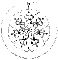 Vorschaubild der Version vom 17:08, 11. Aug. 2022