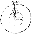Vorschaubild der Version vom 13:35, 11. Aug. 2022