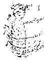 Vorschaubild der Version vom 17:38, 11. Aug. 2022