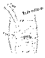 Vorschaubild der Version vom 14:53, 11. Aug. 2022