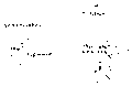 Vorschaubild der Version vom 12:17, 11. Aug. 2022