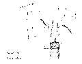 Vorschaubild der Version vom 15:09, 11. Aug. 2022