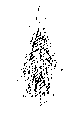 Vorschaubild der Version vom 14:25, 11. Aug. 2022