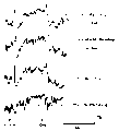 Vorschaubild der Version vom 16:52, 11. Aug. 2022