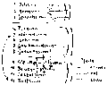 Vorschaubild der Version vom 14:20, 11. Aug. 2022