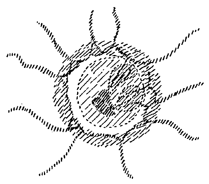 Datei:1020px-GA347 178.gif