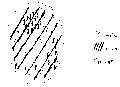 Vorschaubild der Version vom 12:32, 11. Aug. 2022