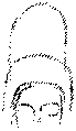 Vorschaubild der Version vom 12:46, 11. Aug. 2022