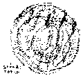 Vorschaubild der Version vom 13:08, 11. Aug. 2022