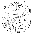 Vorschaubild der Version vom 13:56, 11. Aug. 2022