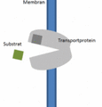Vorschaubild der Version vom 16:51, 11. Aug. 2022