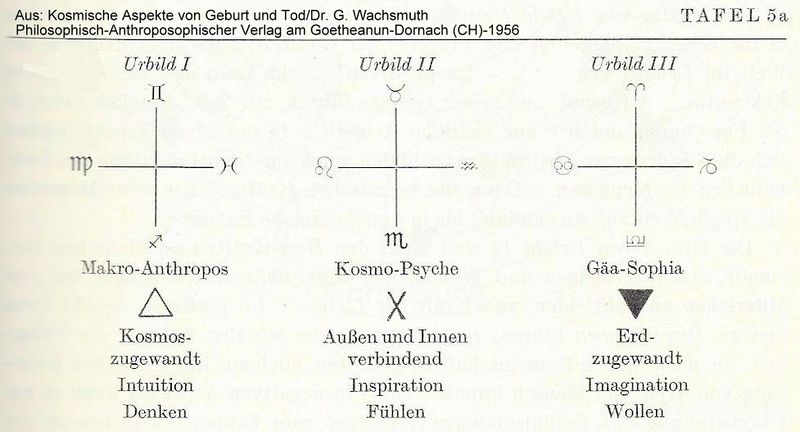 Datei:UrbilderWachsmuth.jpg