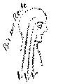 Vorschaubild der Version vom 12:21, 11. Aug. 2022