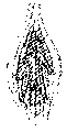 Vorschaubild der Version vom 12:59, 11. Aug. 2022