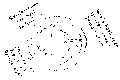 Vorschaubild der Version vom 13:43, 11. Aug. 2022