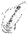 Vorschaubild der Version vom 13:33, 11. Aug. 2022