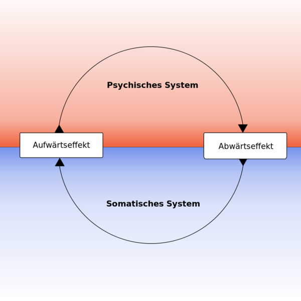 Datei:1000px-Somatopsychische Korrelation.svg.png