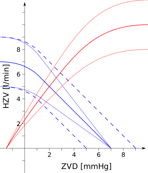 Datei:1028px-Herz-Kreislauf-Diagramm.svg.png