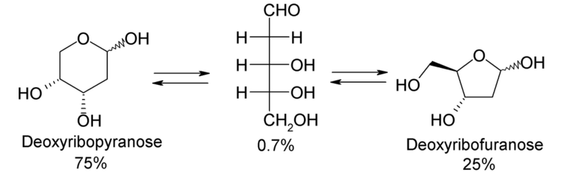 Datei:1000px-Deoxyribose1.PNG