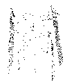 Vorschaubild der Version vom 12:11, 11. Aug. 2022