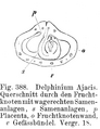 Vorschaubild der Version vom 17:49, 11. Aug. 2022