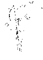 Vorschaubild der Version vom 16:33, 11. Aug. 2022
