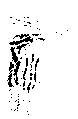 Vorschaubild der Version vom 16:32, 11. Aug. 2022