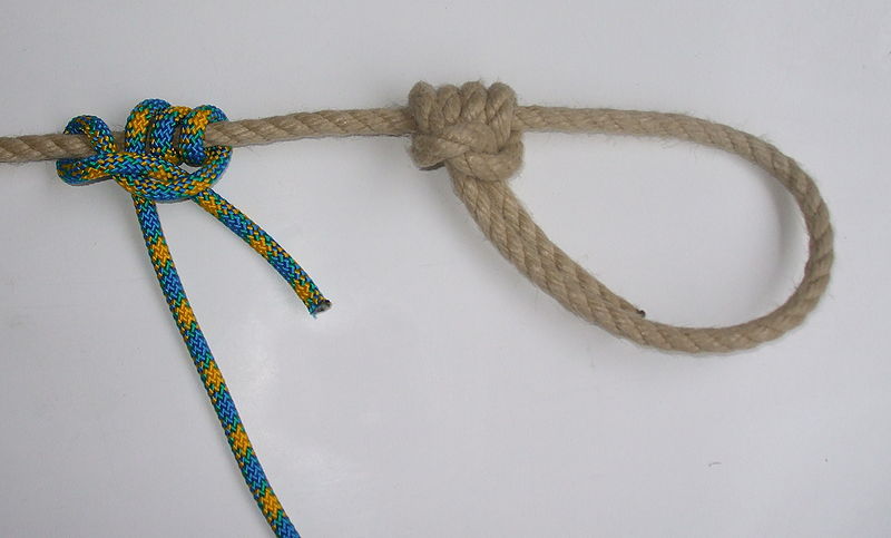 Datei:TarbuckKnot.JPG