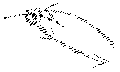 Vorschaubild der Version vom 12:51, 11. Aug. 2022