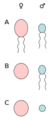 Vorschaubild der Version vom 14:49, 11. Aug. 2022