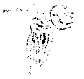 Vorschaubild der Version vom 15:51, 11. Aug. 2022