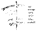 Vorschaubild der Version vom 17:50, 11. Aug. 2022