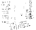 Vorschaubild der Version vom 12:53, 11. Aug. 2022