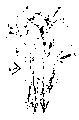 Vorschaubild der Version vom 14:52, 11. Aug. 2022