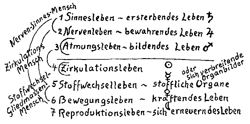 Datei:1100px-GA208 089.gif