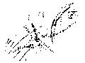 Vorschaubild der Version vom 12:55, 11. Aug. 2022