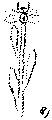 Vorschaubild der Version vom 14:06, 11. Aug. 2022