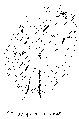 Vorschaubild der Version vom 13:55, 11. Aug. 2022