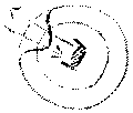 Vorschaubild der Version vom 17:09, 11. Aug. 2022