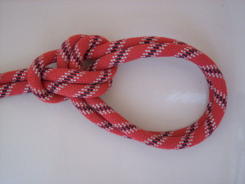 Datei:Doppelter Palstek.jpg