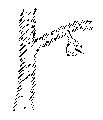 Vorschaubild der Version vom 13:25, 11. Aug. 2022
